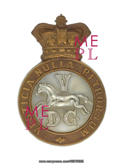 : Military Badge : Military Badge
