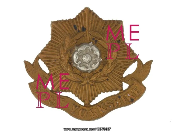 : Military Badge : Military Badge