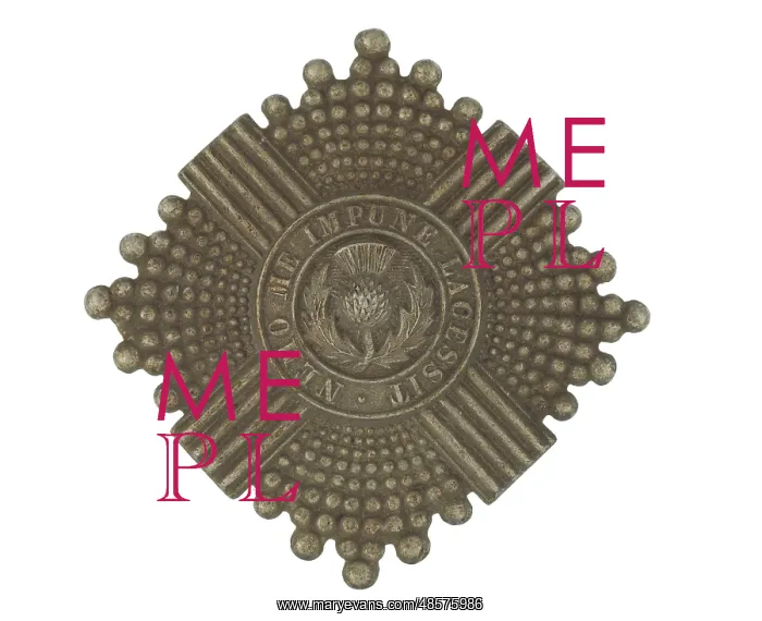 : Military Badge : Military Badge