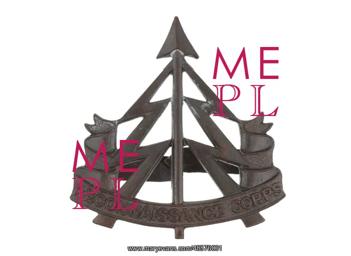 : Military Badge : Military Badge