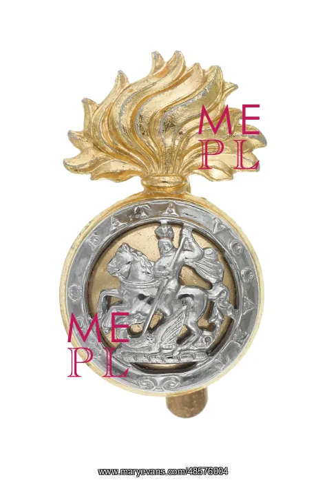 : Military Badge : Military Badge