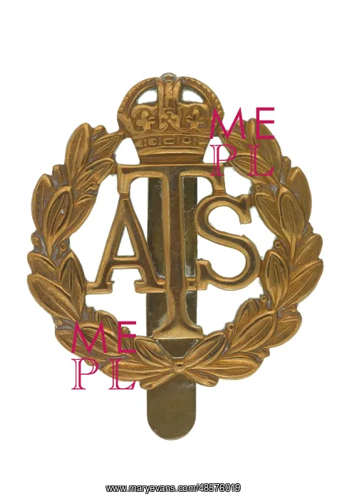 : Military Badge : Military Badge
