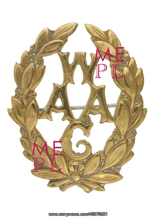 : Military Badge : Military Badge