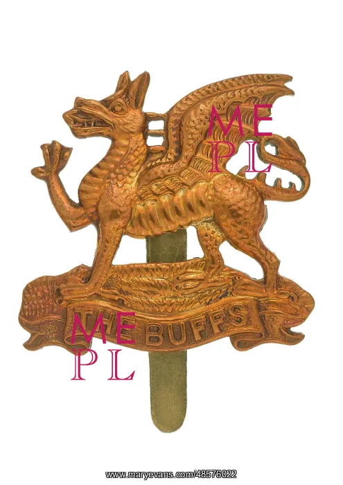 : Military Badge : Military Badge