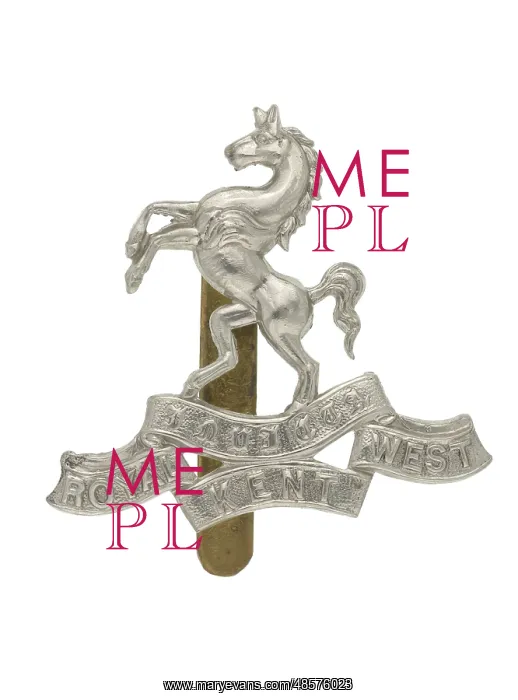 : Military Badge : Military Badge