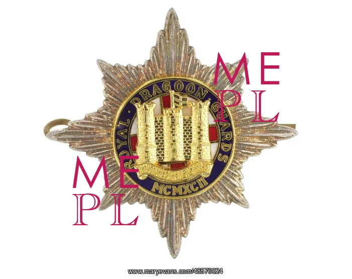 : Military Badge : Military Badge