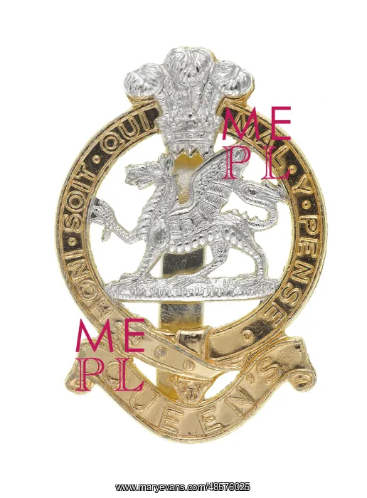 : Military Badge : Military Badge