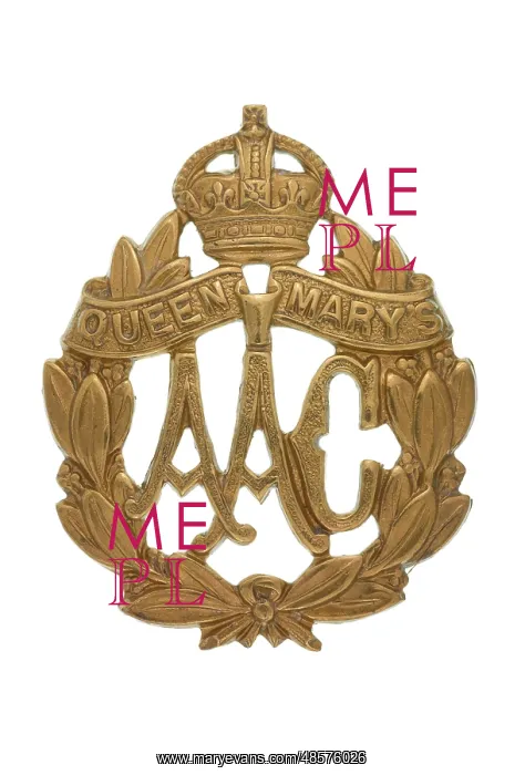  : Military Badge