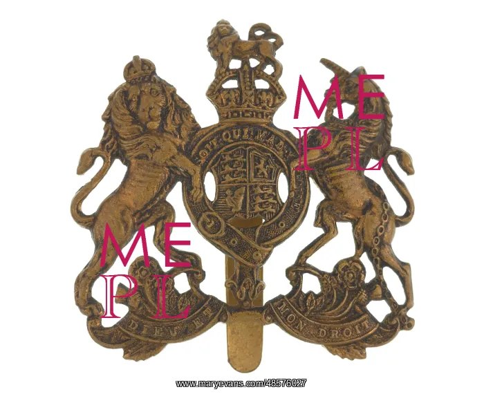 : Military Badge : Military Badge