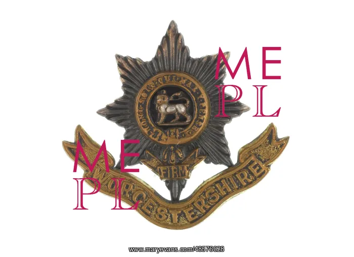 : Military Badge : Military Badge