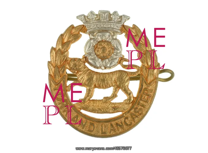 : Military Badge : Military Badge