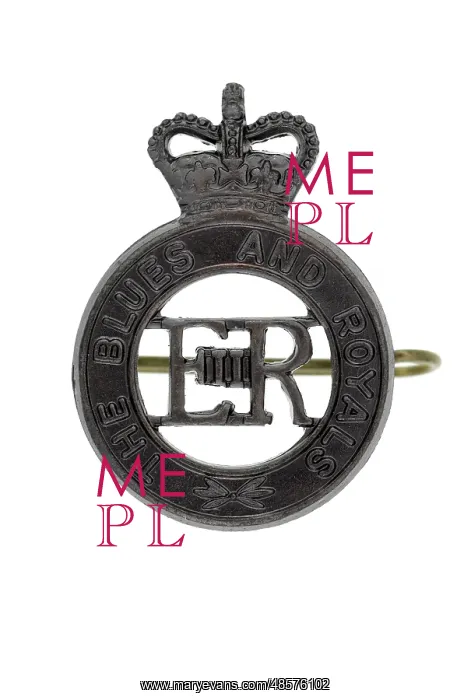 : Military Badge : Military Badge