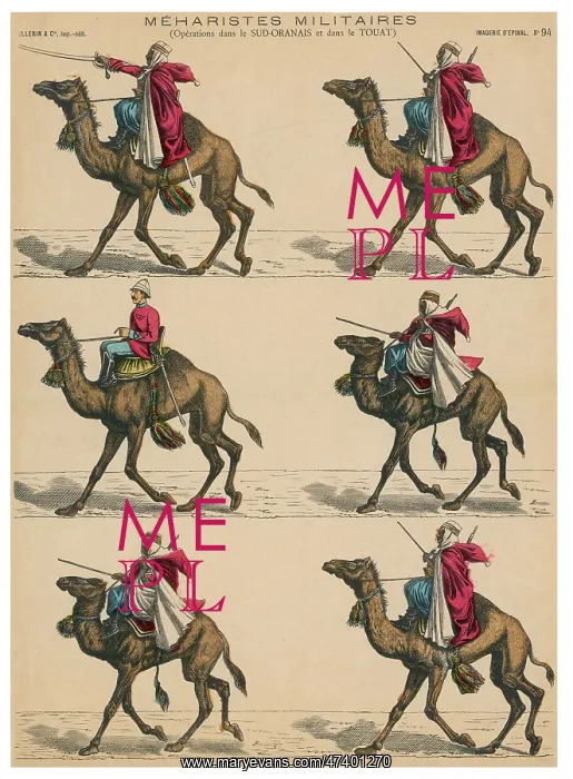 : MILITARY CAMELS : MILITARY CAMELS