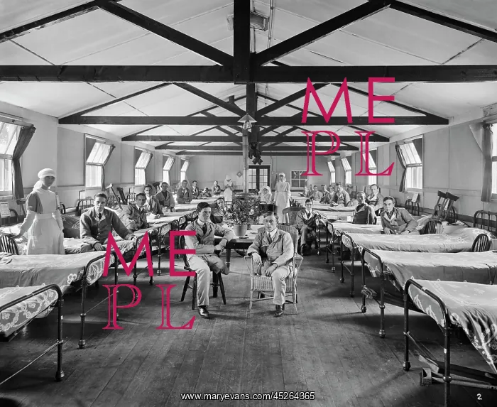 : Military hospitals: Roehampton : Military hospitals: Roehampton