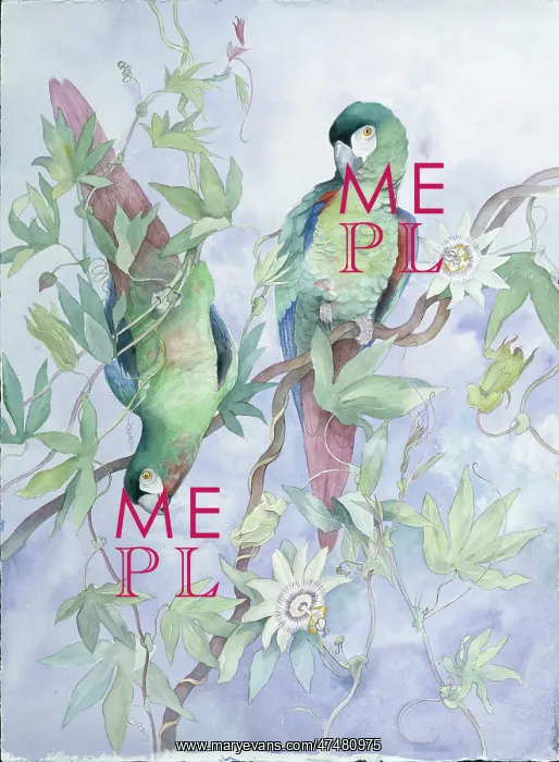 : Military Macaws ' on Passion Flower : Military Macaws ' on Passion Flower