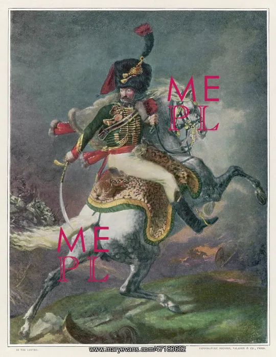 : MILITARY / NAPOLEONIC : MILITARY / NAPOLEONIC