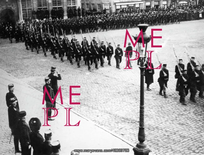 : A military parade for the Belgian King : A military parade for the Belgian King
