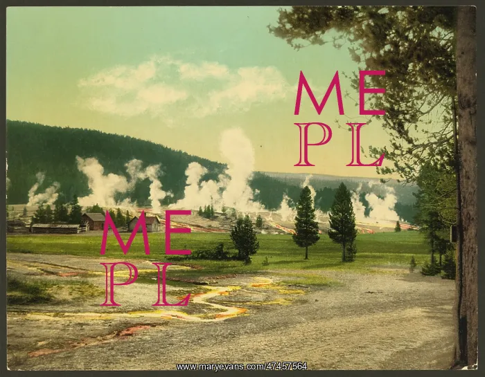 : Military Post and giantess group, Yellowstone Park : Military Post and giantess group, Yellowstone Park