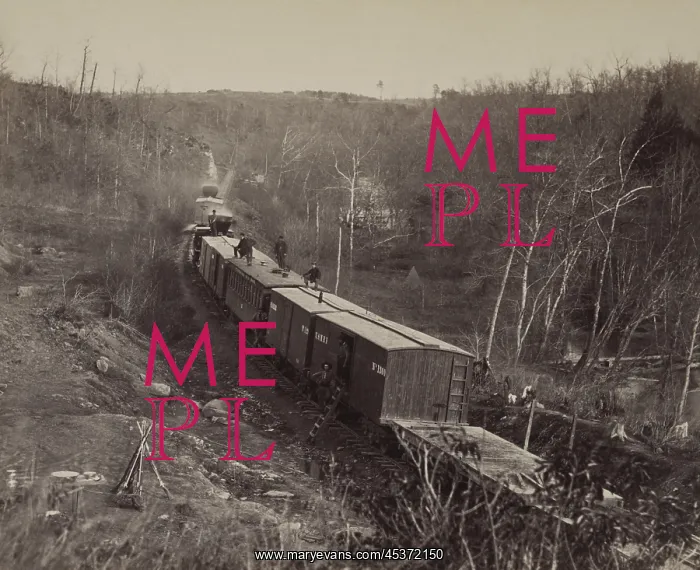 : US Military Railroad train stopped on the : US Military Railroad train stopped on the