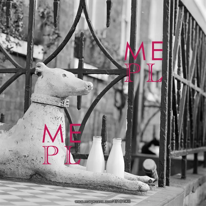 : Milk Bottles : Milk Bottles