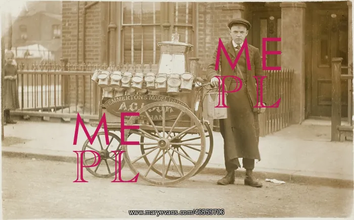 : Milk boy with three-wheeled cart & cans : Milk boy with three-wheeled cart & cans