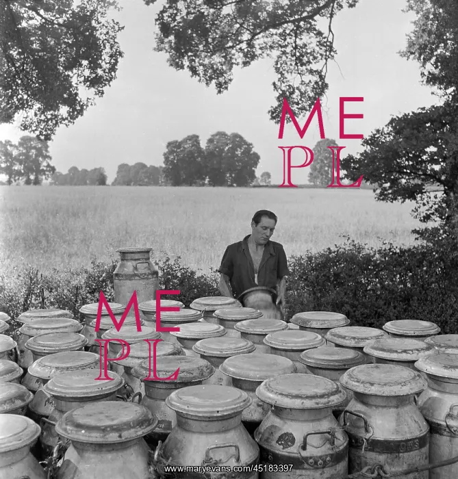 : Milk churns : Milk churns