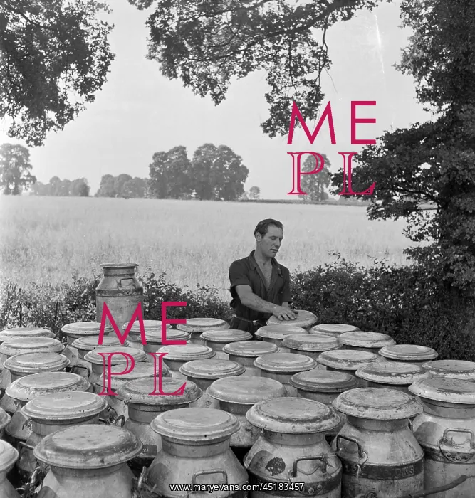  : Milk churns