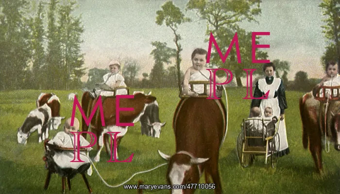 : Milk Directly from Cow : Milk Directly from Cow