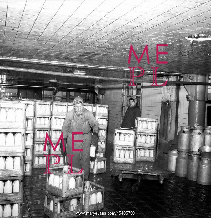 : Milk - fresh - calcium - loading - bottles : Milk - fresh - calcium - loading - bottles