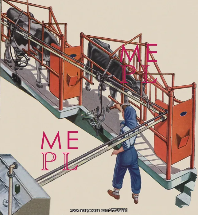  : Milking Machine