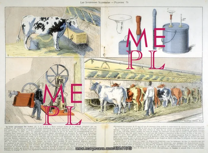 : Milking parlour equipped with Thistle suction : Milking parlour equipped with Thistle suction