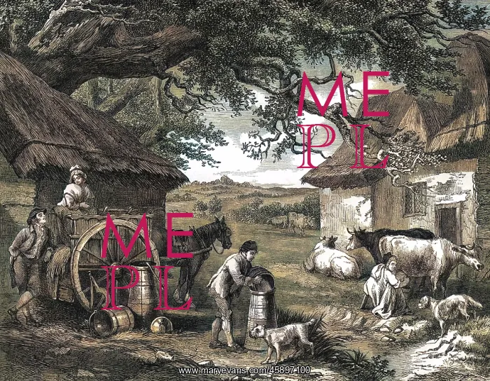  : MILKING TIME