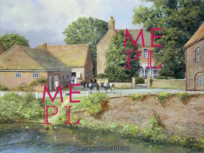 : Milking Time, Burnham Overy, Norfolk : Milking Time, Burnham Overy, Norfolk