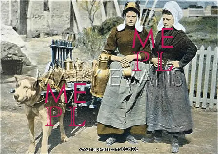 : MILKMAIDS AT ANTWERP : MILKMAIDS AT ANTWERP