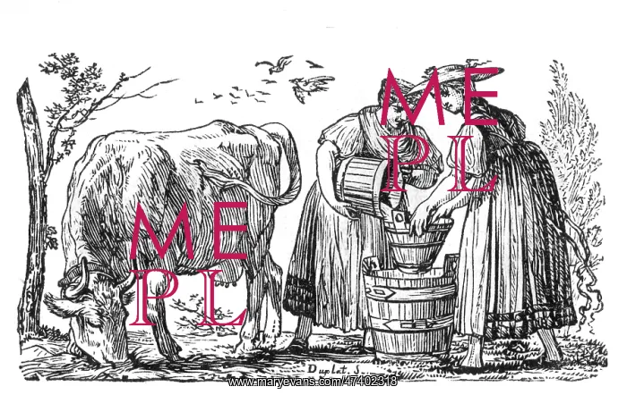 : MILKMAIDS AND COW : MILKMAIDS AND COW