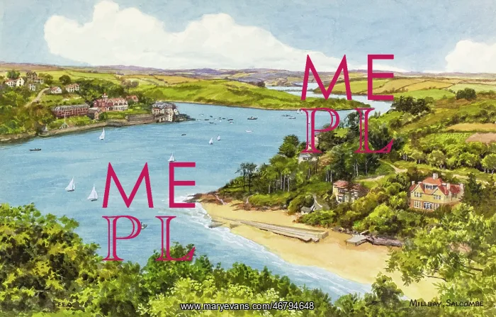 : Millbay, Salcombe, Devon : Millbay, Salcombe, Devon