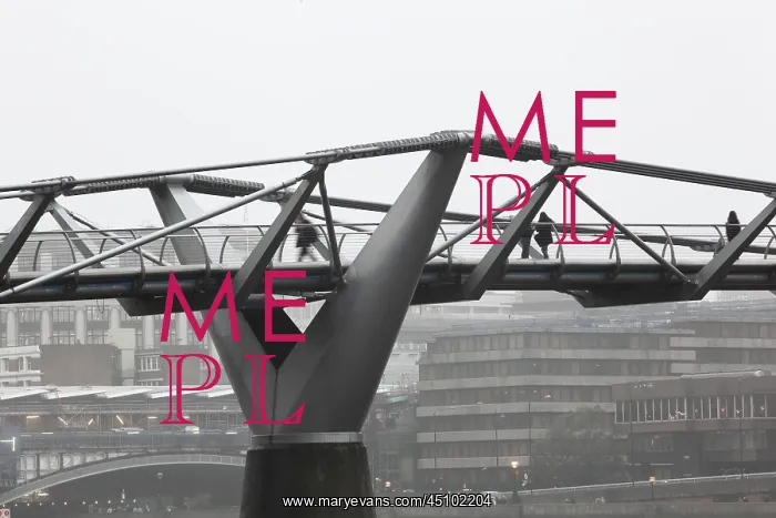 : Millenium Bridge, London, UK : Millenium Bridge, London, UK