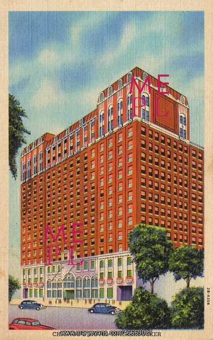 : Millennium Knickerbocker Hotel Chicago : Millennium Knickerbocker Hotel Chicago