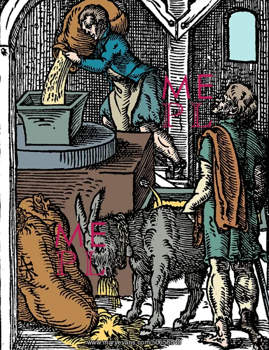  : Miller, 1568