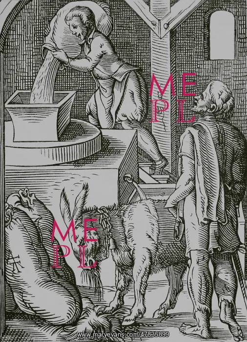 : The miller, 16th century. Engraving : The miller, 16th century. Engraving