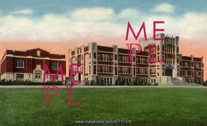 : Miller High School. Macon : Miller High School. Macon