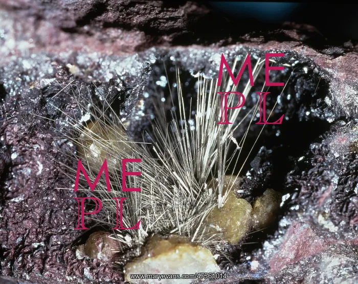 : Millerite comprises of (nickel sulphide) and is characterized by hair-like : Millerite comprises of (nickel sulphide) and is characterized by hair-like
