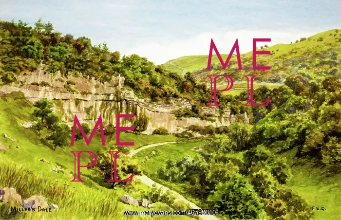 : Miller's Dale, Derbyshire : Miller's Dale, Derbyshire