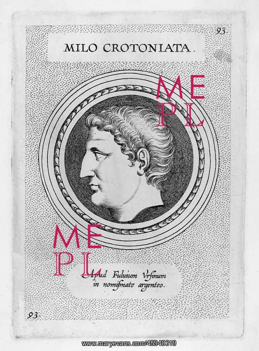 : MILO OF CROTONA : MILO OF CROTONA