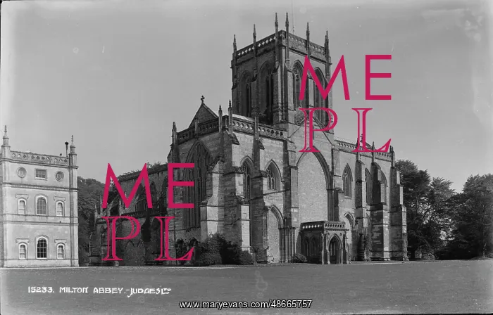 : Milton Abbey : Milton Abbey