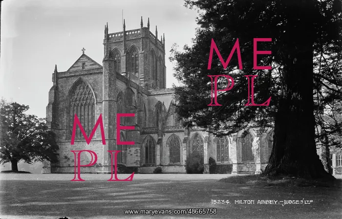  : Milton Abbey