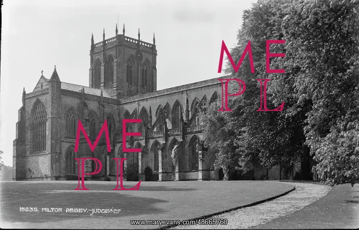 : Milton Abbey : Milton Abbey