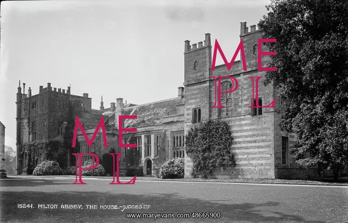 : Milton Abbey - The House : Milton Abbey - The House