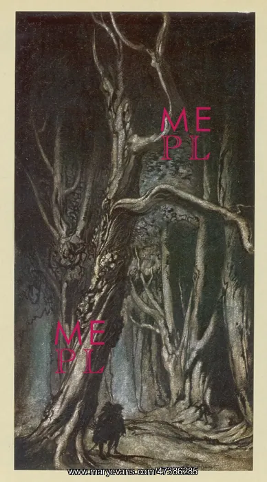 : MILTON'S COMUS / RACKHAM : MILTON'S COMUS / RACKHAM