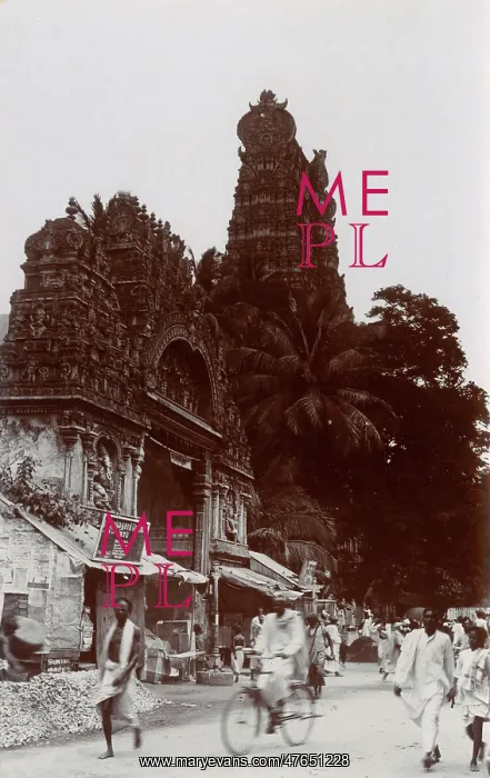 : Minakshi-Sundareshwara Temple, Madurai, Tamil Nadu, India : Minakshi-Sundareshwara Temple, Madurai, Tamil Nadu, India
